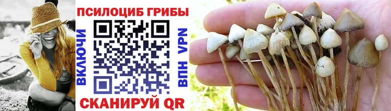 Псилоцибиновые грибы GOLDEN TEACHER Горно-Алтайск